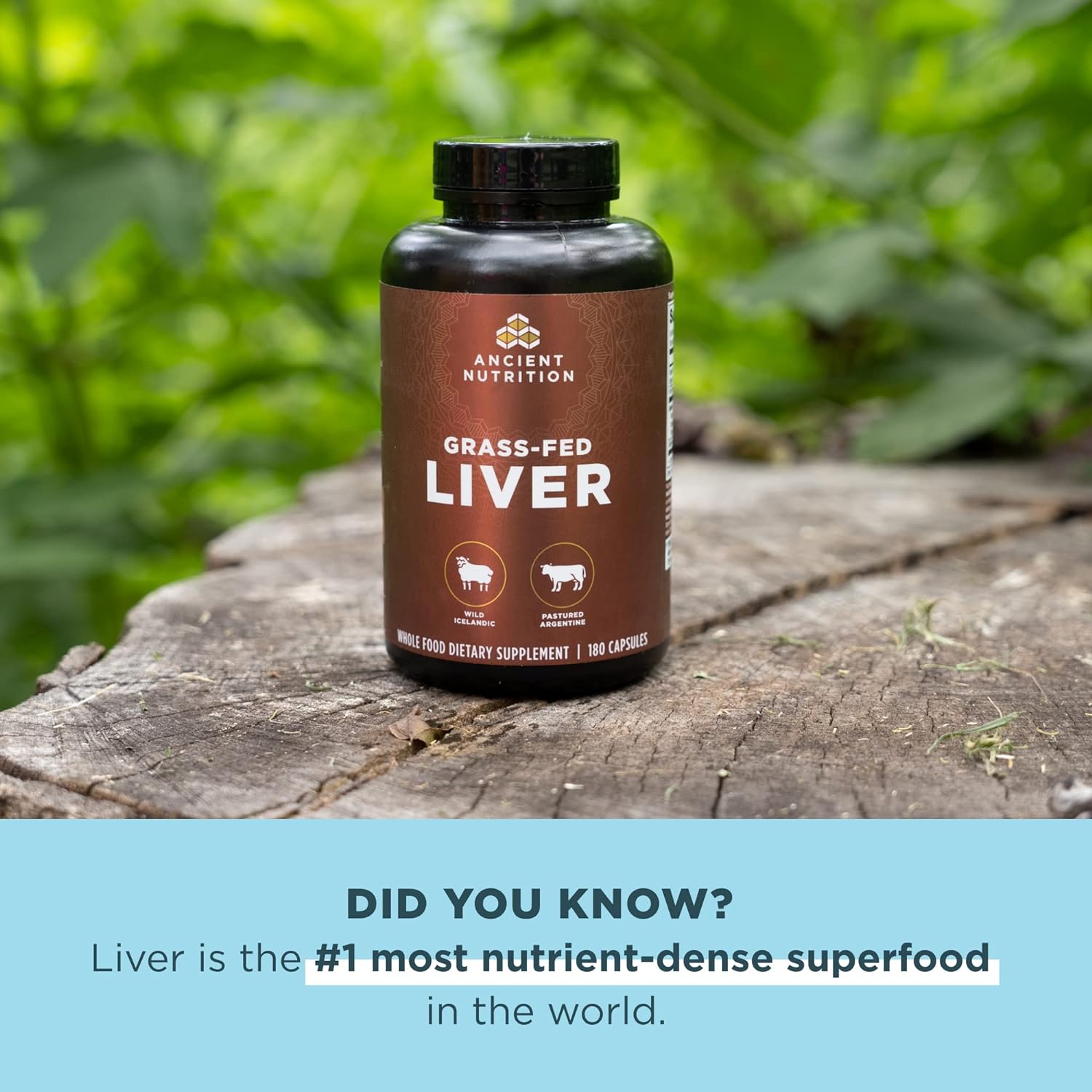 Ancient Nutrition Grass-Fed Liver-N101 Nutrition