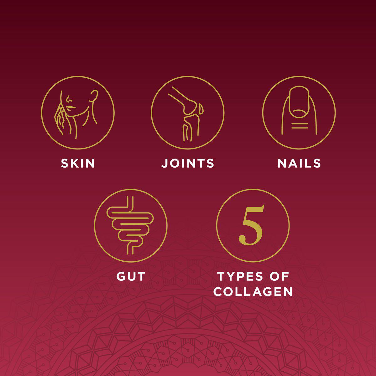 Ancient Nutrition Multi-Collagen Capsules-N101 Nutrition