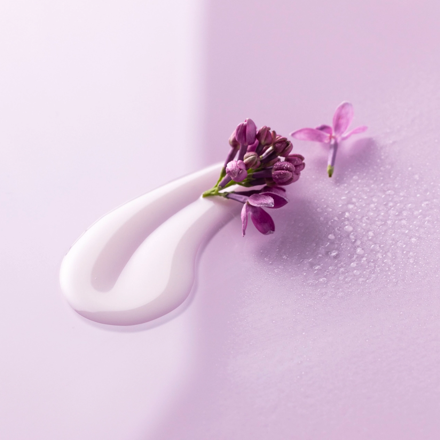 Annemarie Borlind Skin & Pore Balancer-N101 Nutrition