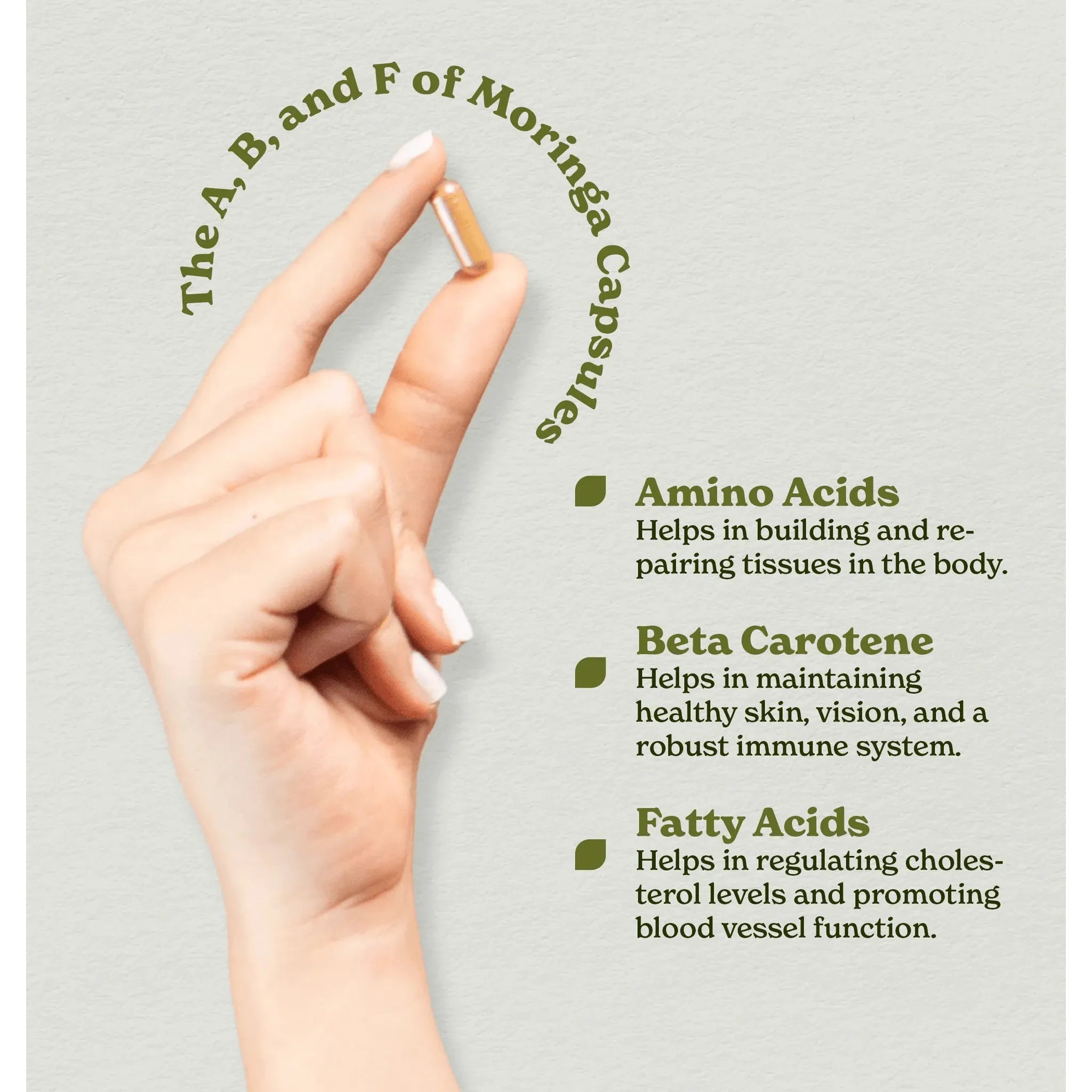 BetterAlt Moringa Capsules-N101 Nutrition