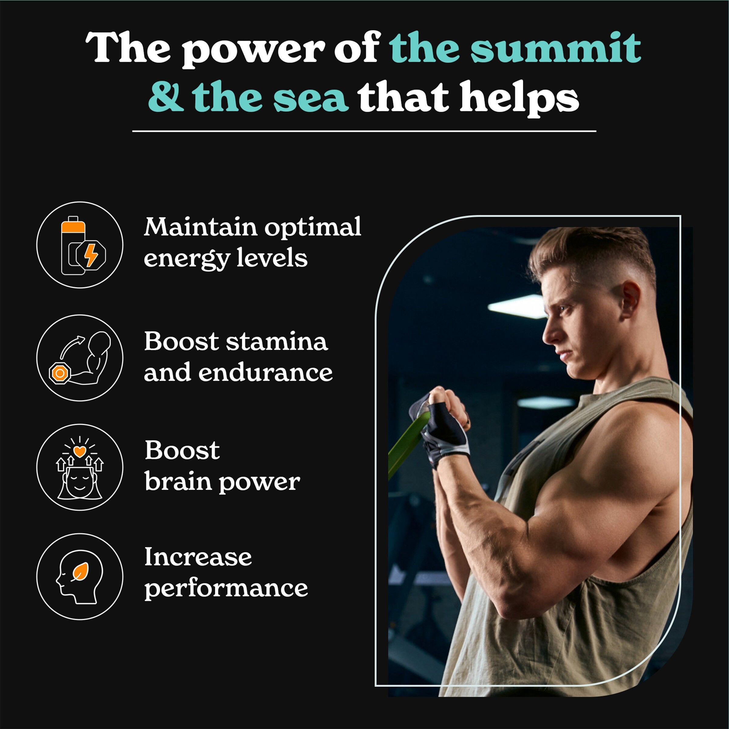 BetterAlt Shilajit Sea Moss-N101 Nutrition