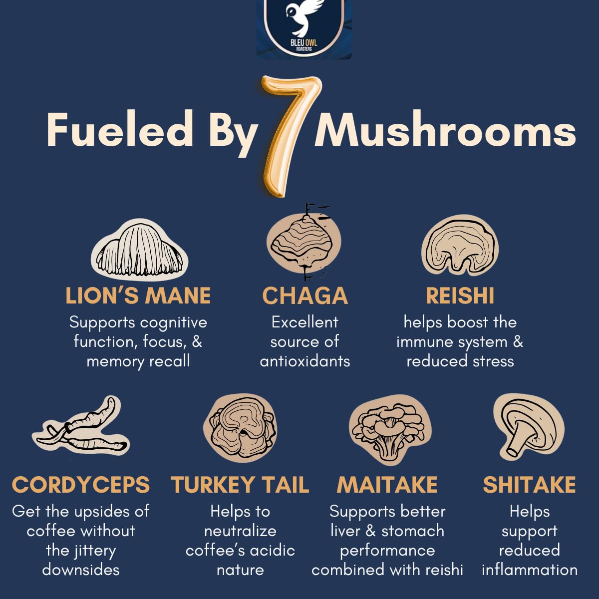 Bleu Owl Roasters Instant Mushroom Coffee-N101 Nutrition