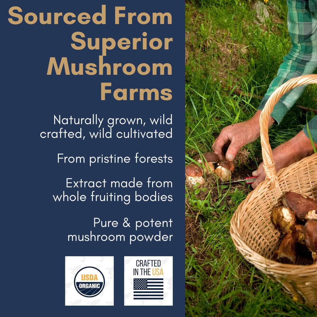 Bleu Owl Roasters Instant Mushroom Coffee-N101 Nutrition