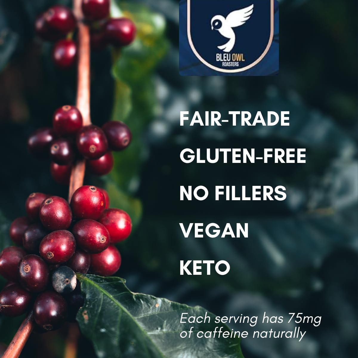 Bleu Owl Roasters Instant Mushroom Coffee-N101 Nutrition