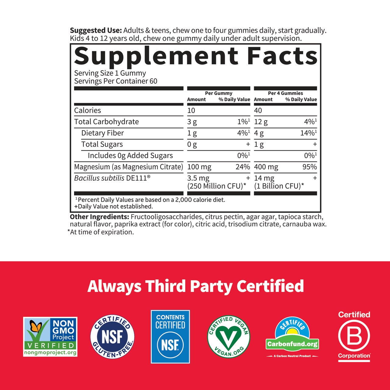 Garden of Life Dr. Formulated Magnesium Gummies with Pre & Probiotics-N101 Nutrition