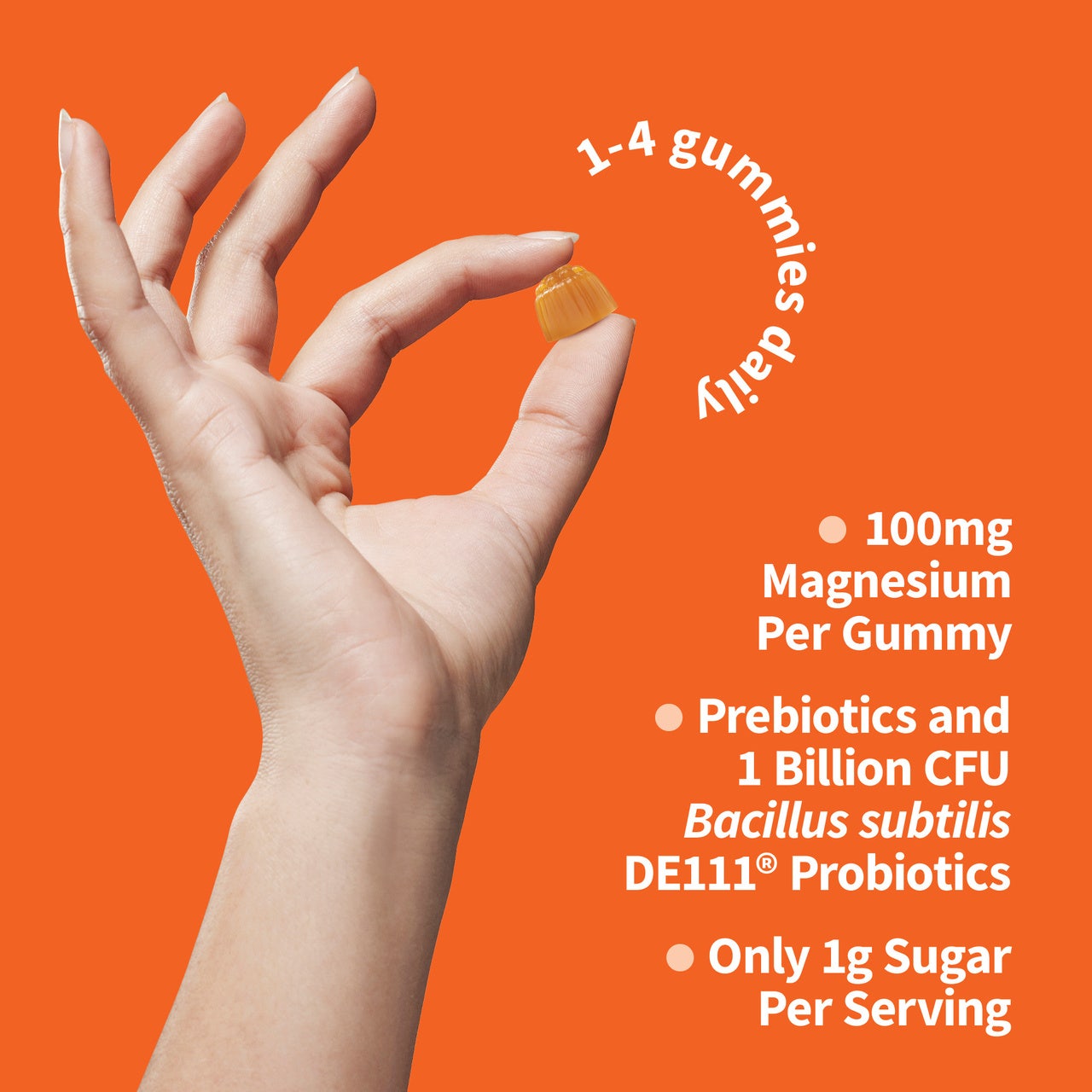 Garden of Life Dr. Formulated Magnesium Gummies with Pre & Probiotics-N101 Nutrition