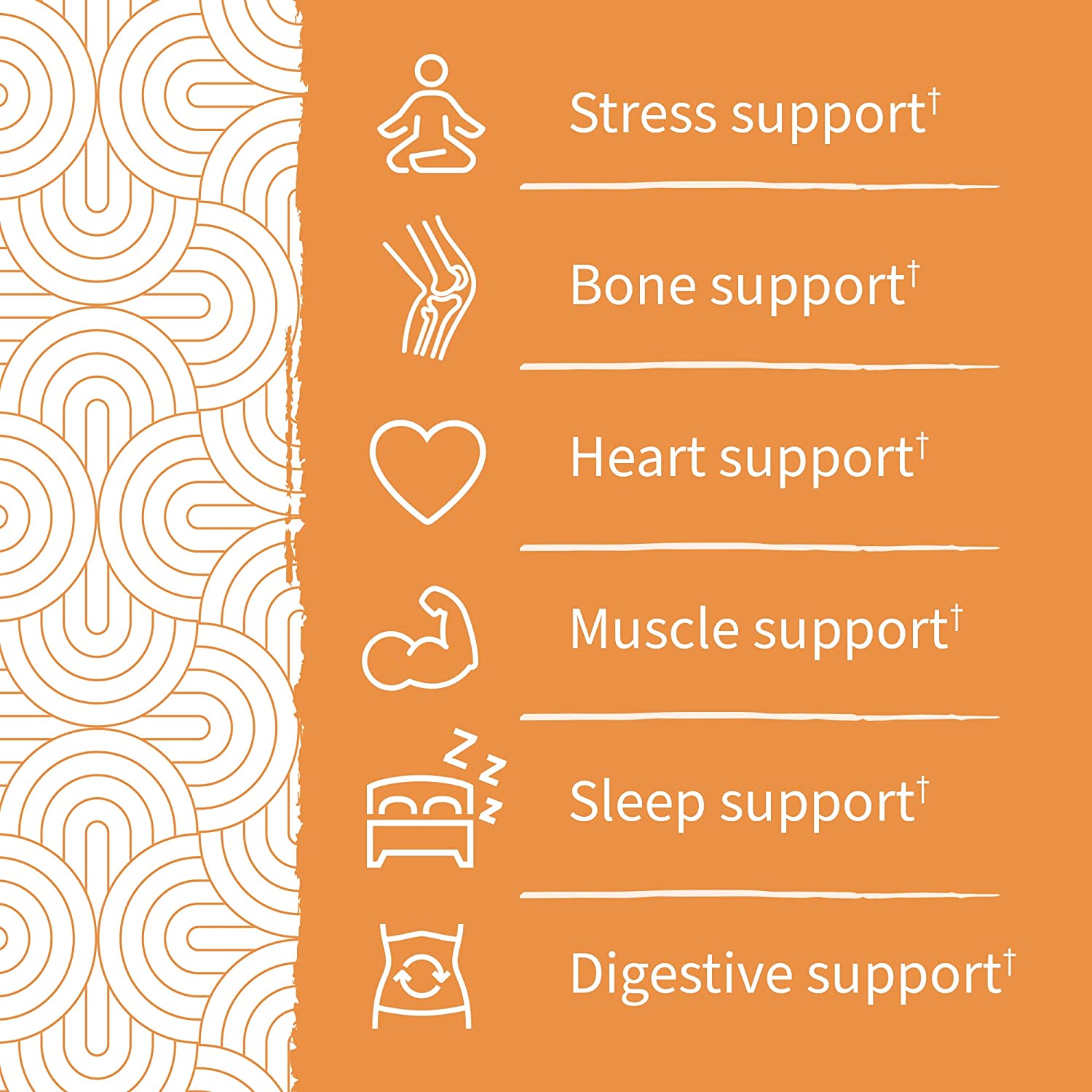 Garden of Life Dr. Formulated Magnesium Gummies with Pre & Probiotics-N101 Nutrition