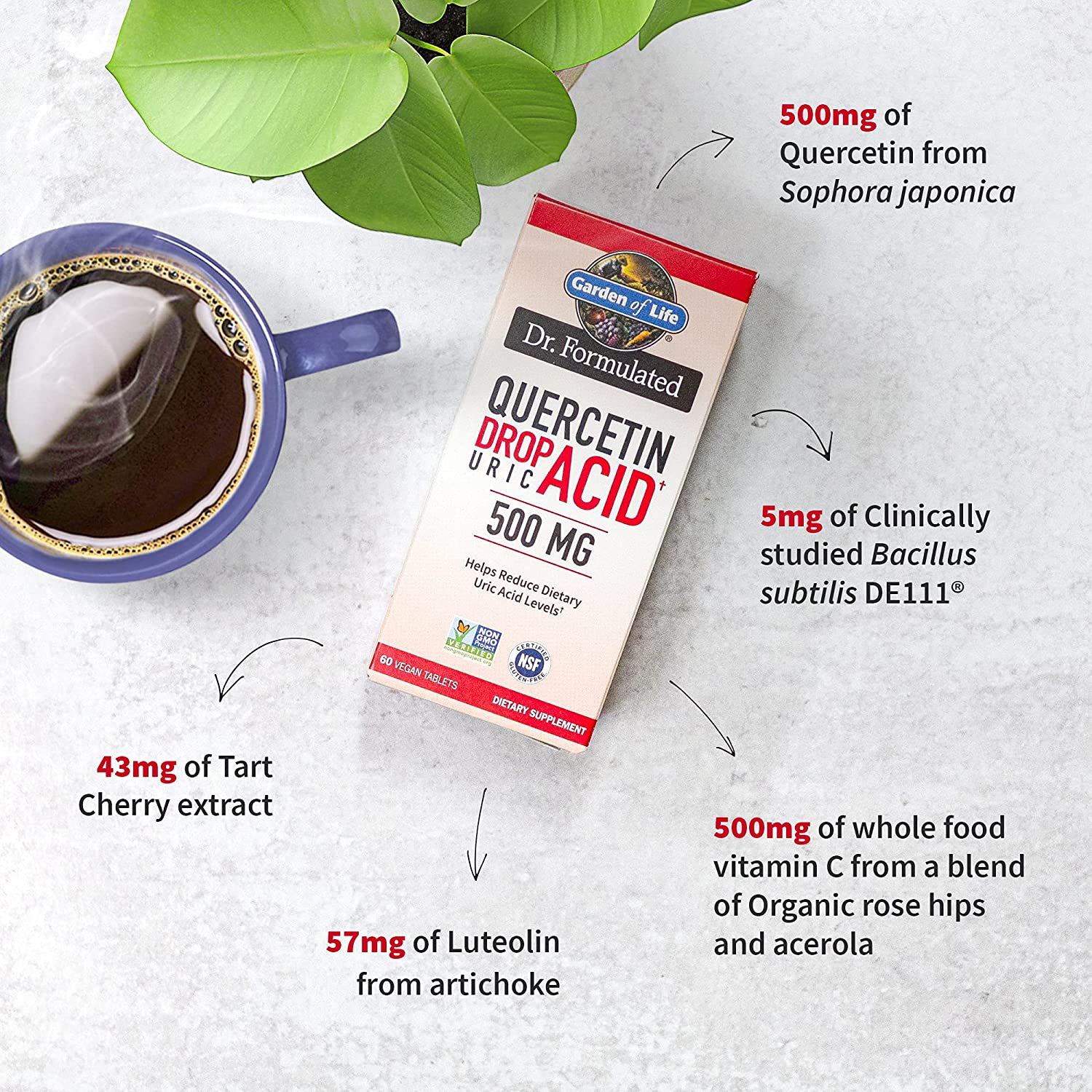 Garden of Life Dr. Formulated Quercetin Drop Uric Acid-N101 Nutrition