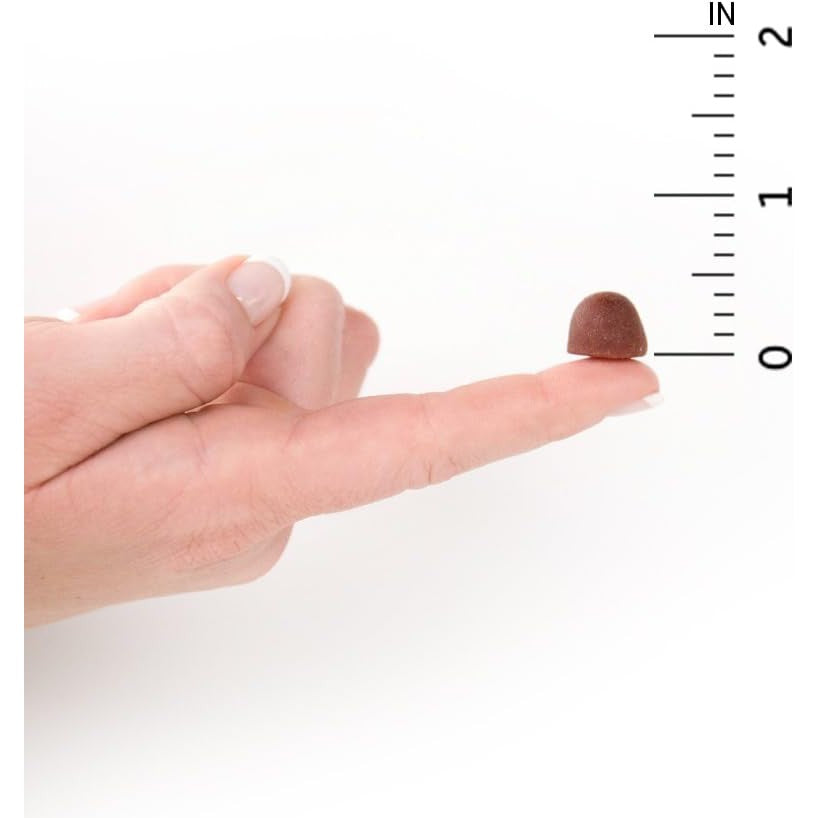 Garden of Life Organics Men's Multi Gummies-N101 Nutrition