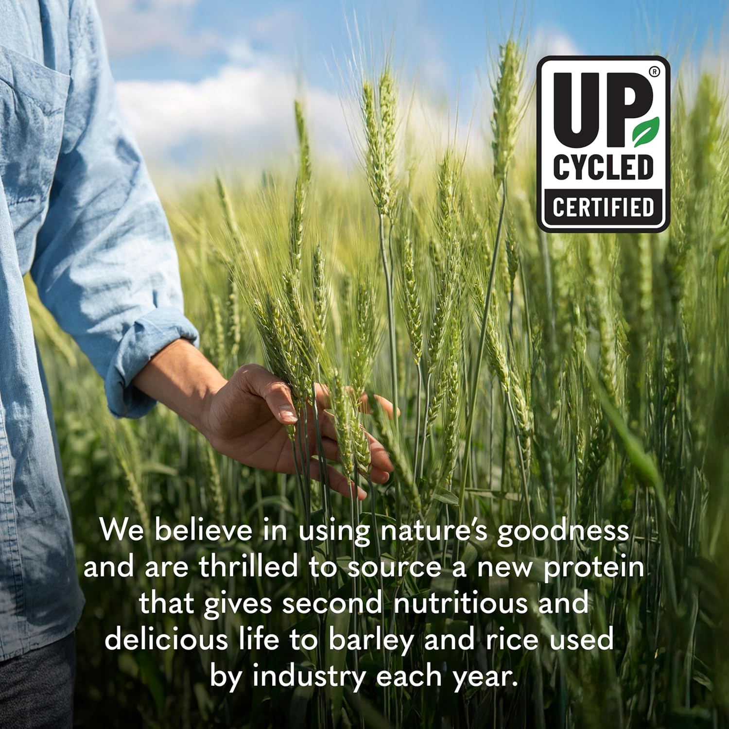 Garden of Life Plant-Based Sprouted Barley Protein + Probiotics-N101 Nutrition