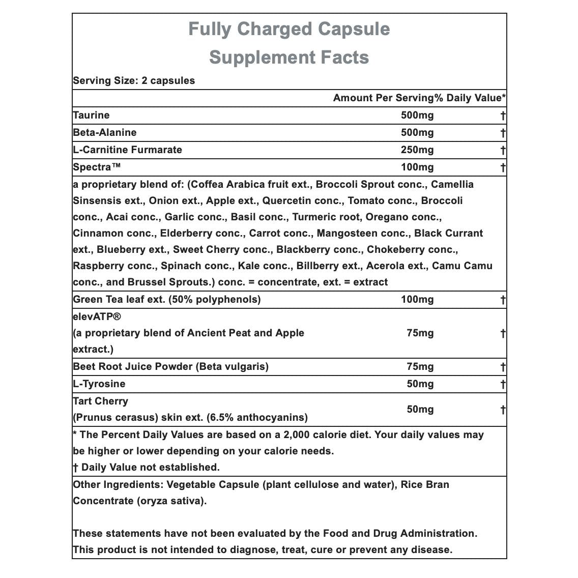 Hammer Nutrition Fully Charged Capsules-N101 Nutrition