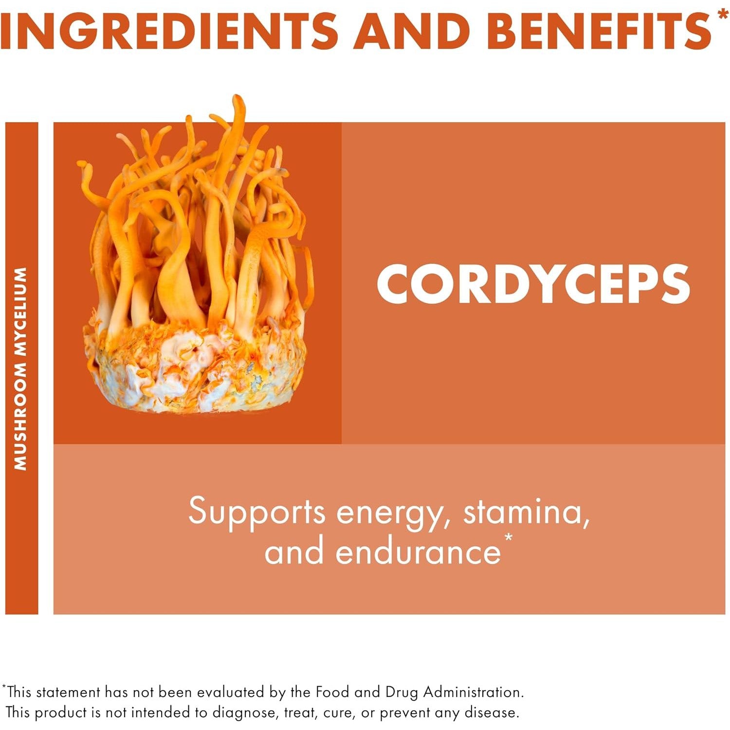 Host Defense Cordyceps-N101 Nutrition