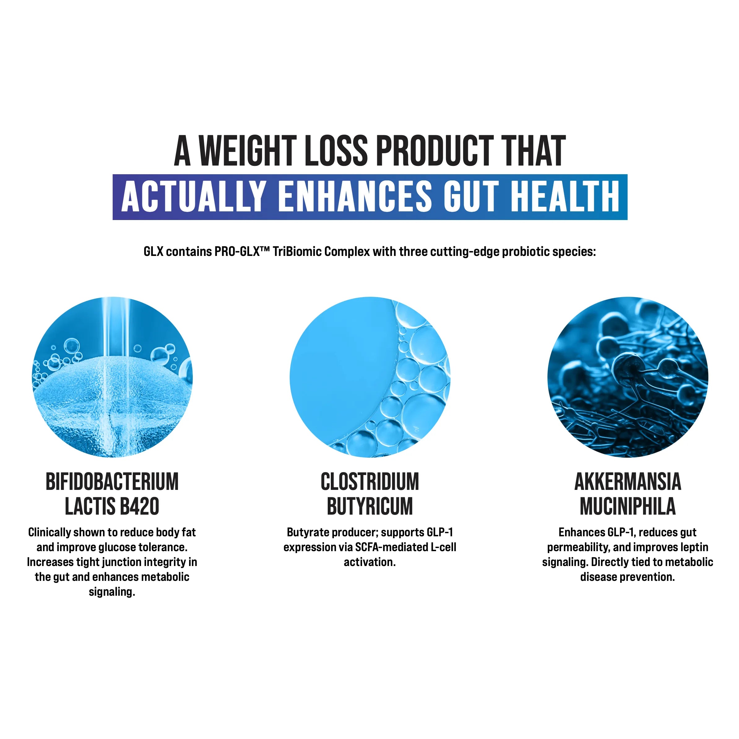 Inspired GLX-N101 Nutrition