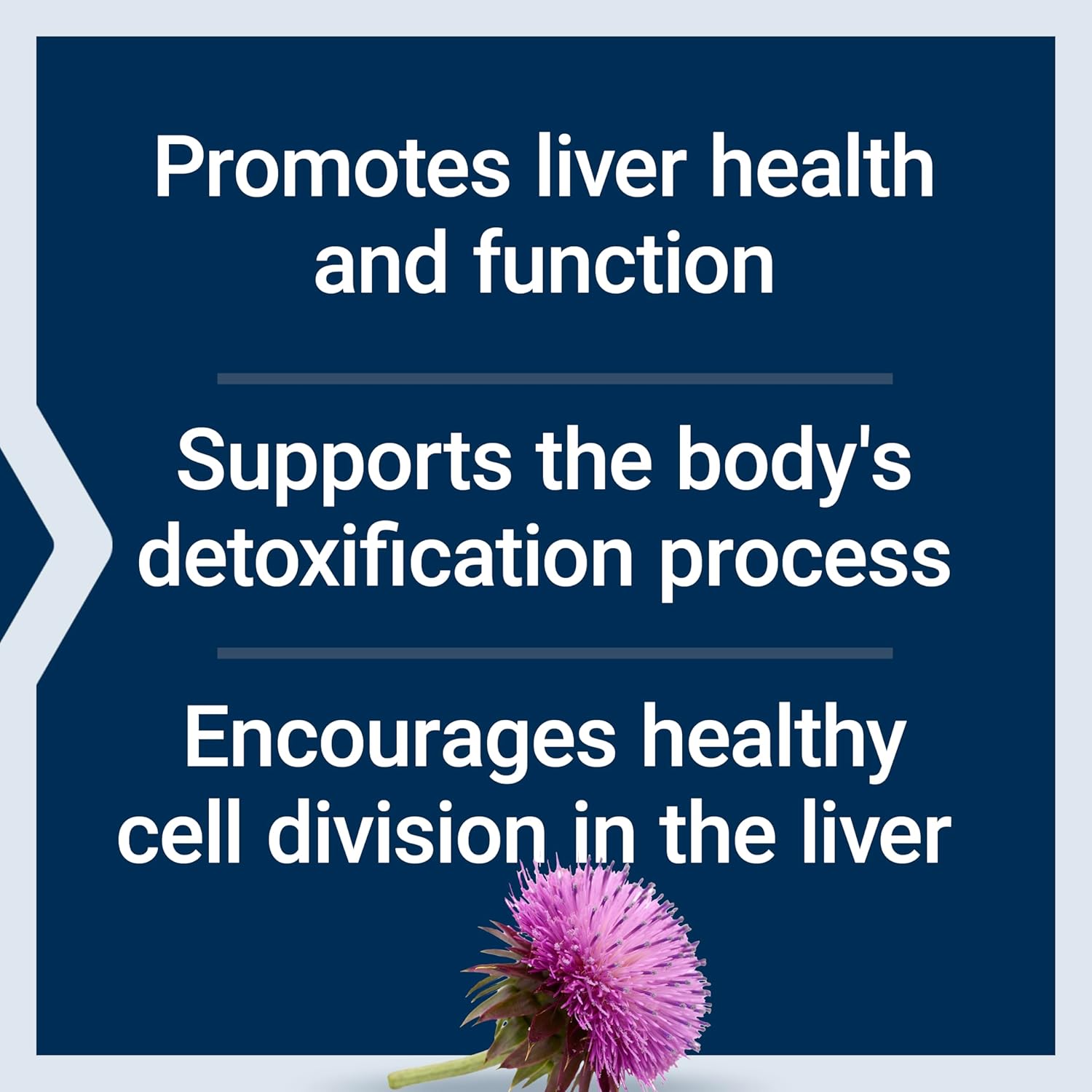 Life Extension Milk Thistle-N101 Nutrition