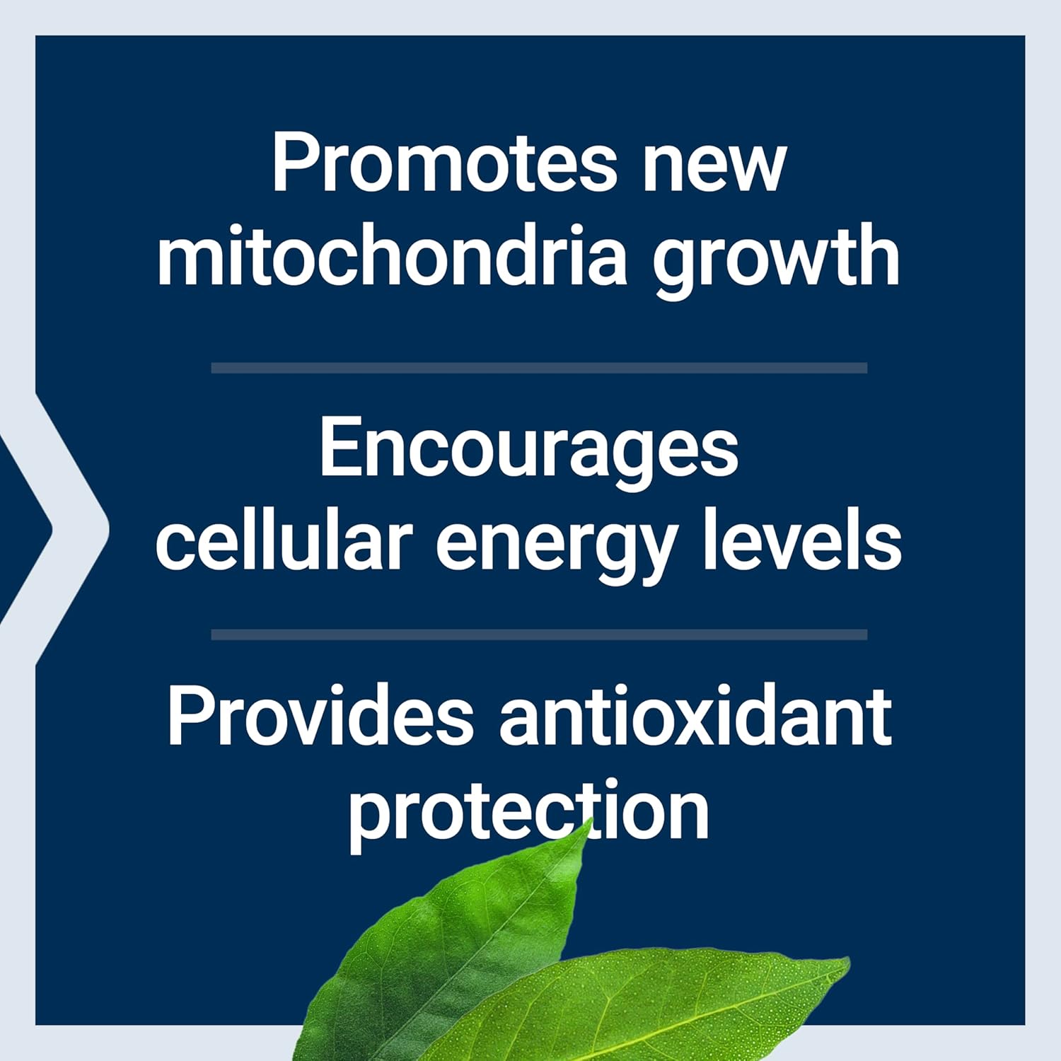 Life Extension PQQ 10 mg-N101 Nutrition