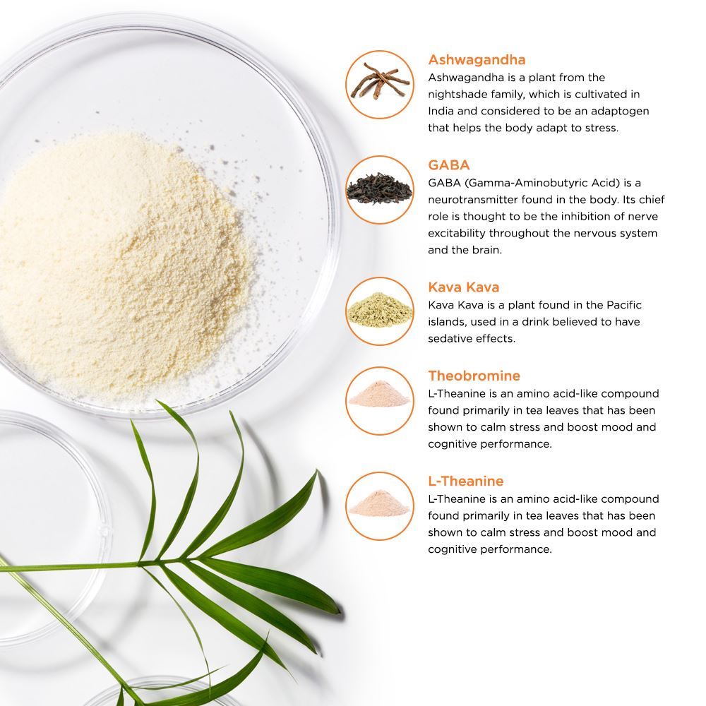 LifeSeasons Anxie-T Stress Support-N101 Nutrition