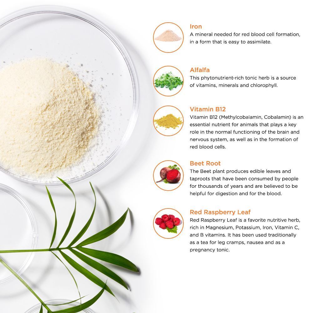 LifeSeasons Blood Nourish-R-N101 Nutrition