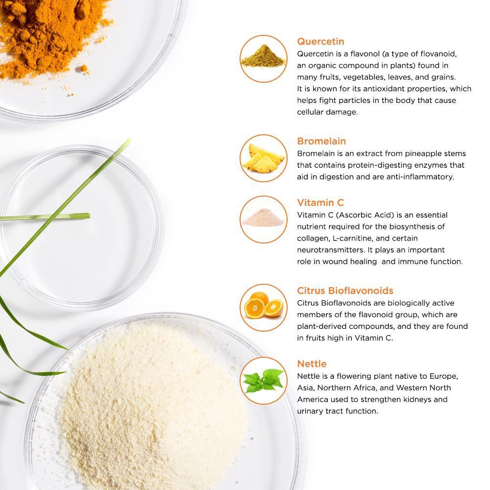 LifeSeasons Breathe-X-N101 Nutrition