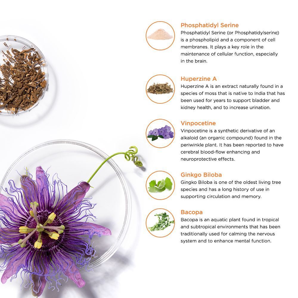 LifeSeasons Clari-T Cognitive Support-N101 Nutrition