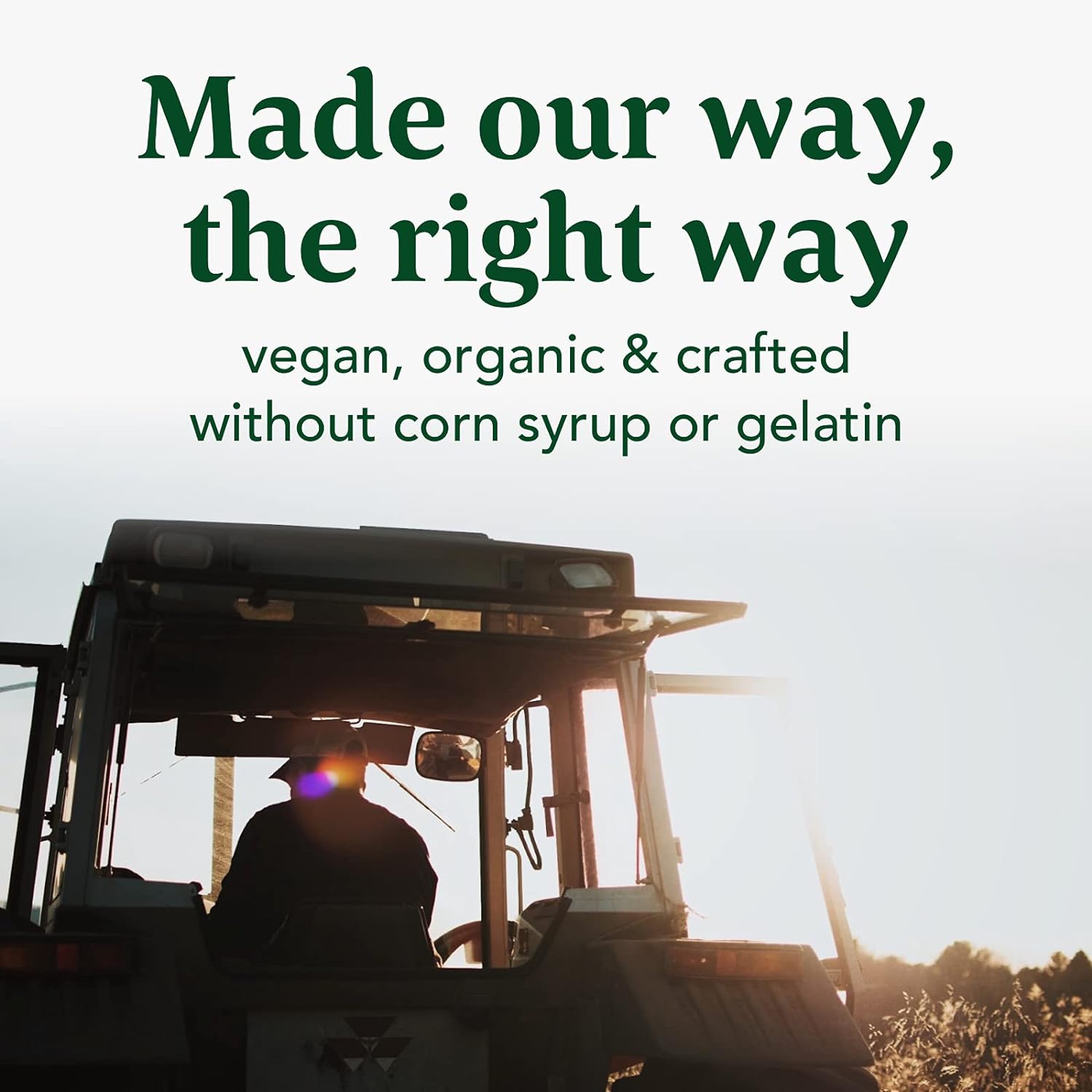 MegaFood Elderberry Immune Support Gummies-N101 Nutrition