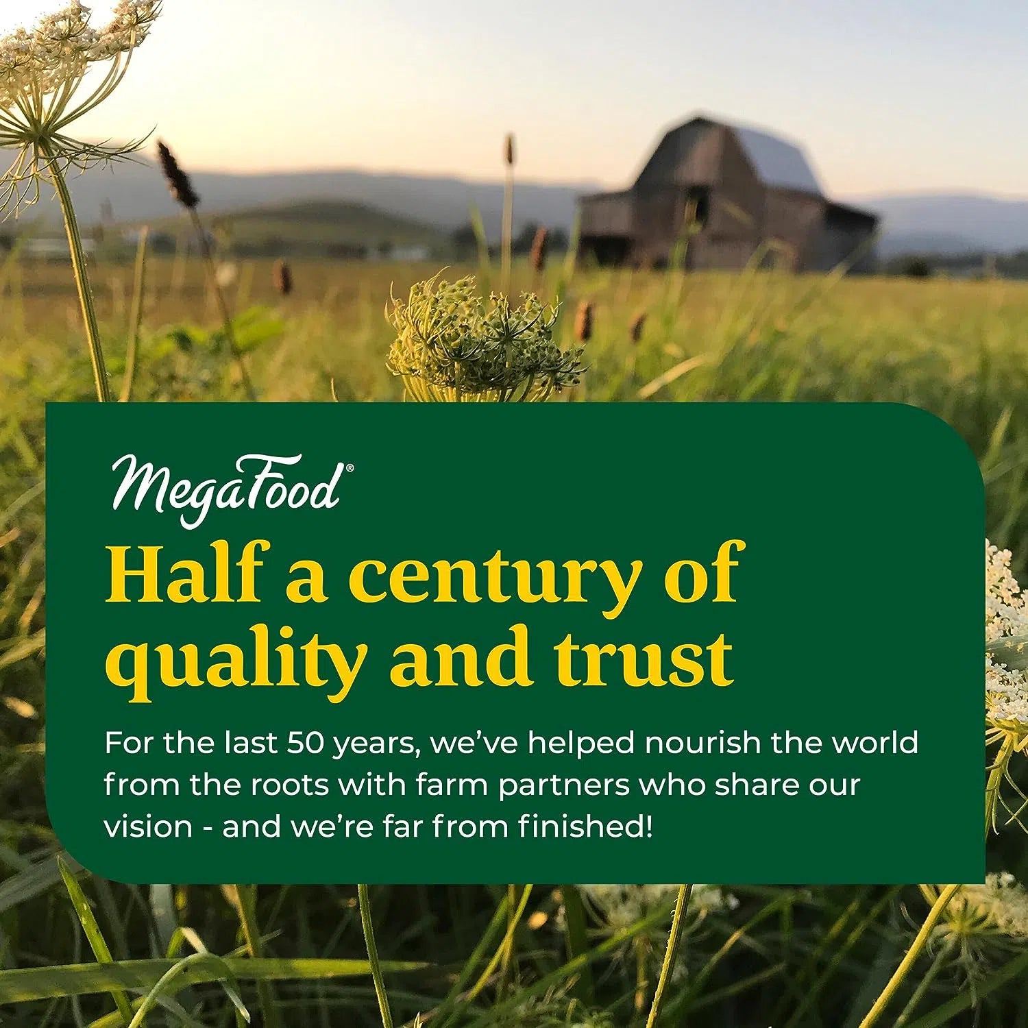 MegaFood Men’s One Daily Multivitamin-N101 Nutrition