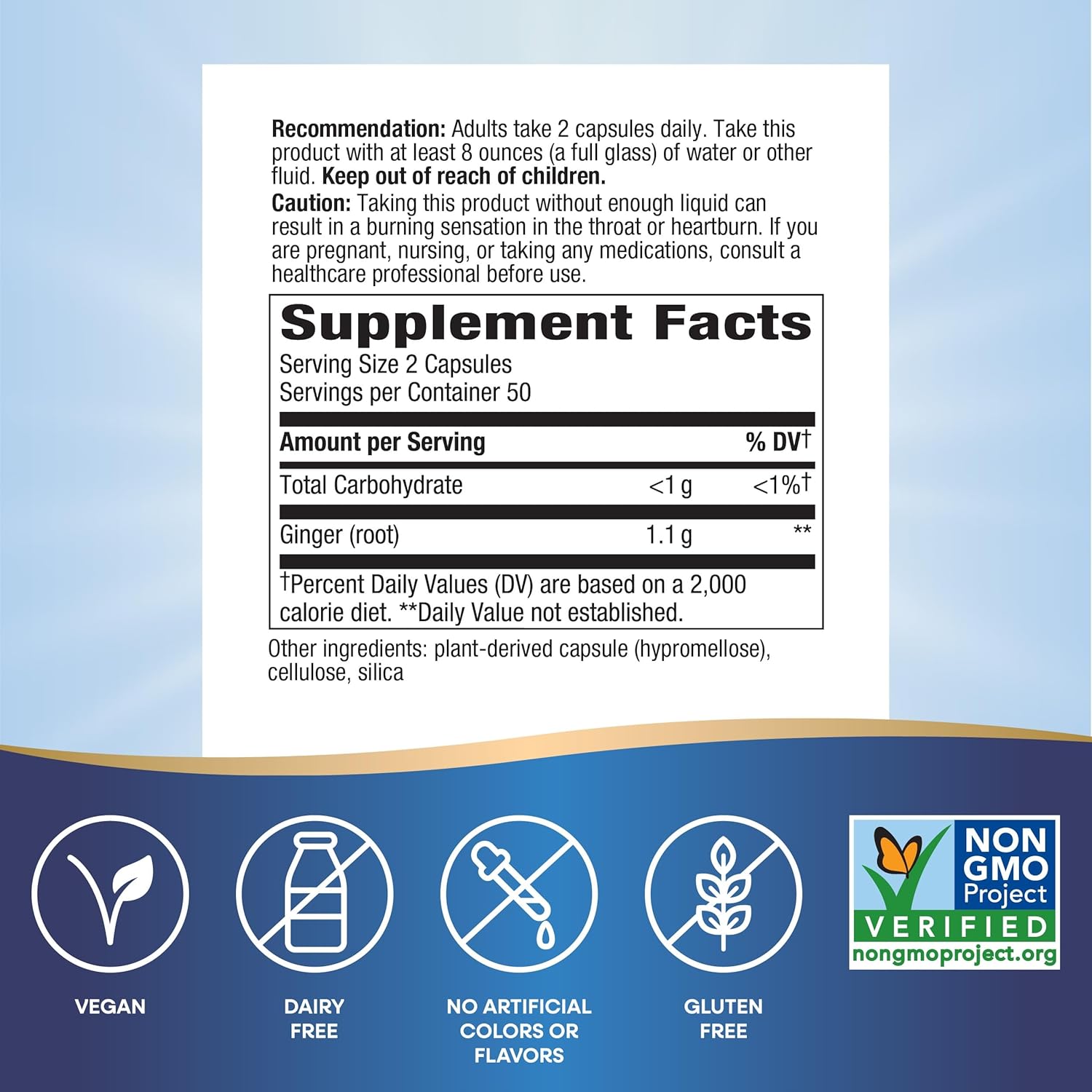 Nature's Way Ginger Root-N101 Nutrition