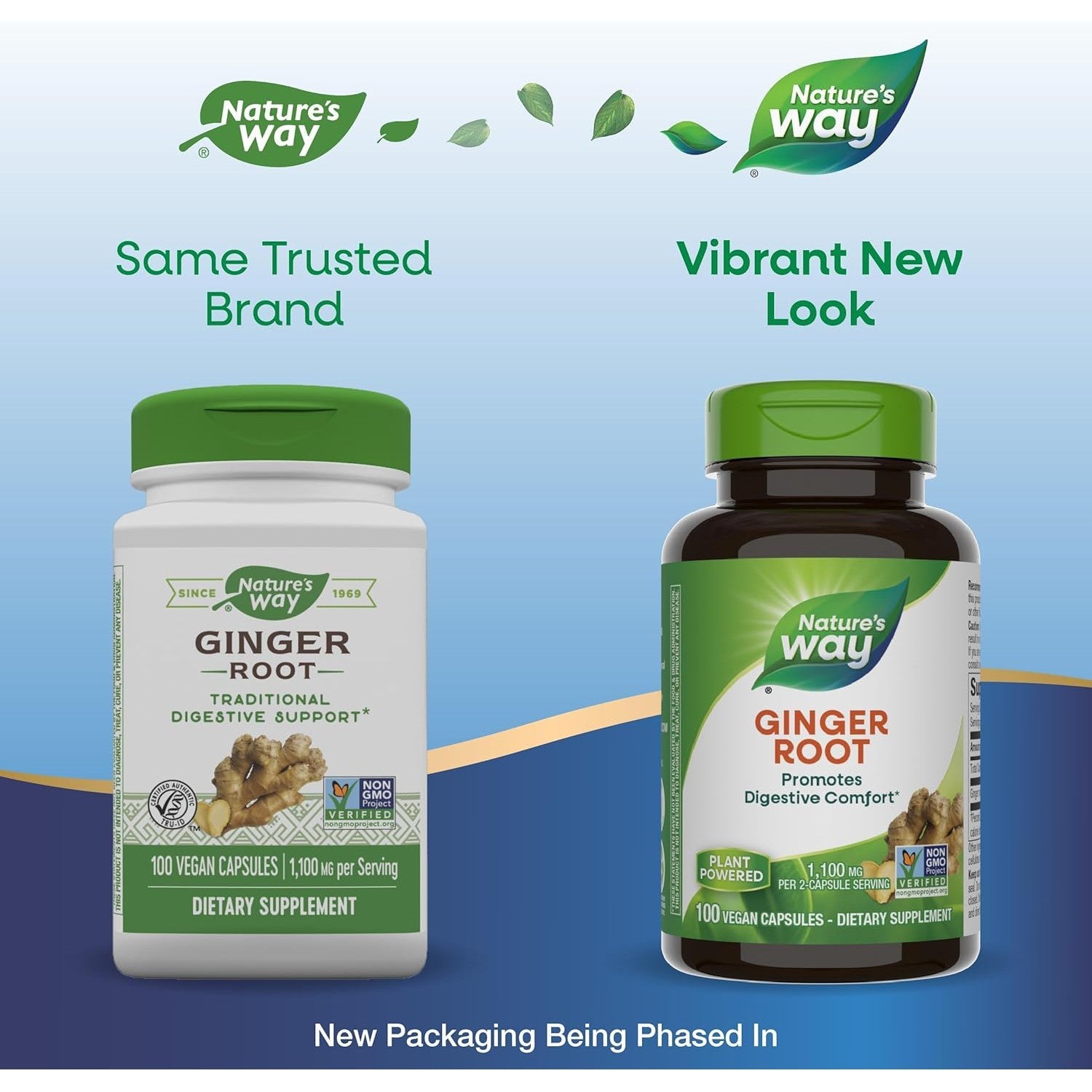 Nature's Way Ginger Root-N101 Nutrition