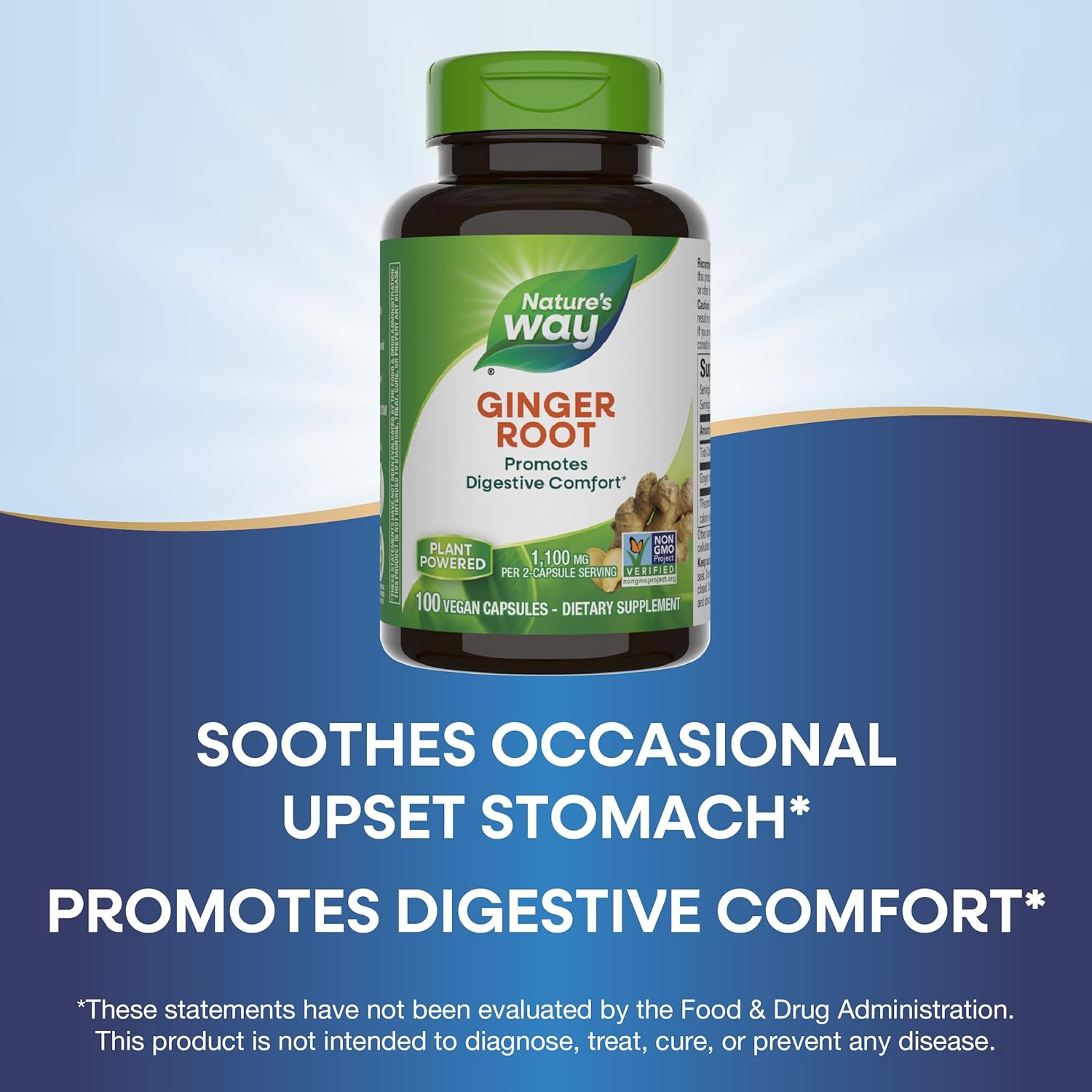 Nature's Way Ginger Root-N101 Nutrition