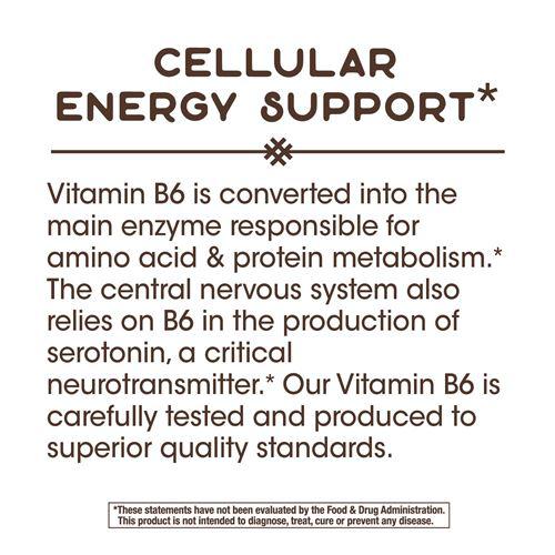 Nature's Way Vitamin B-6-N101 Nutrition