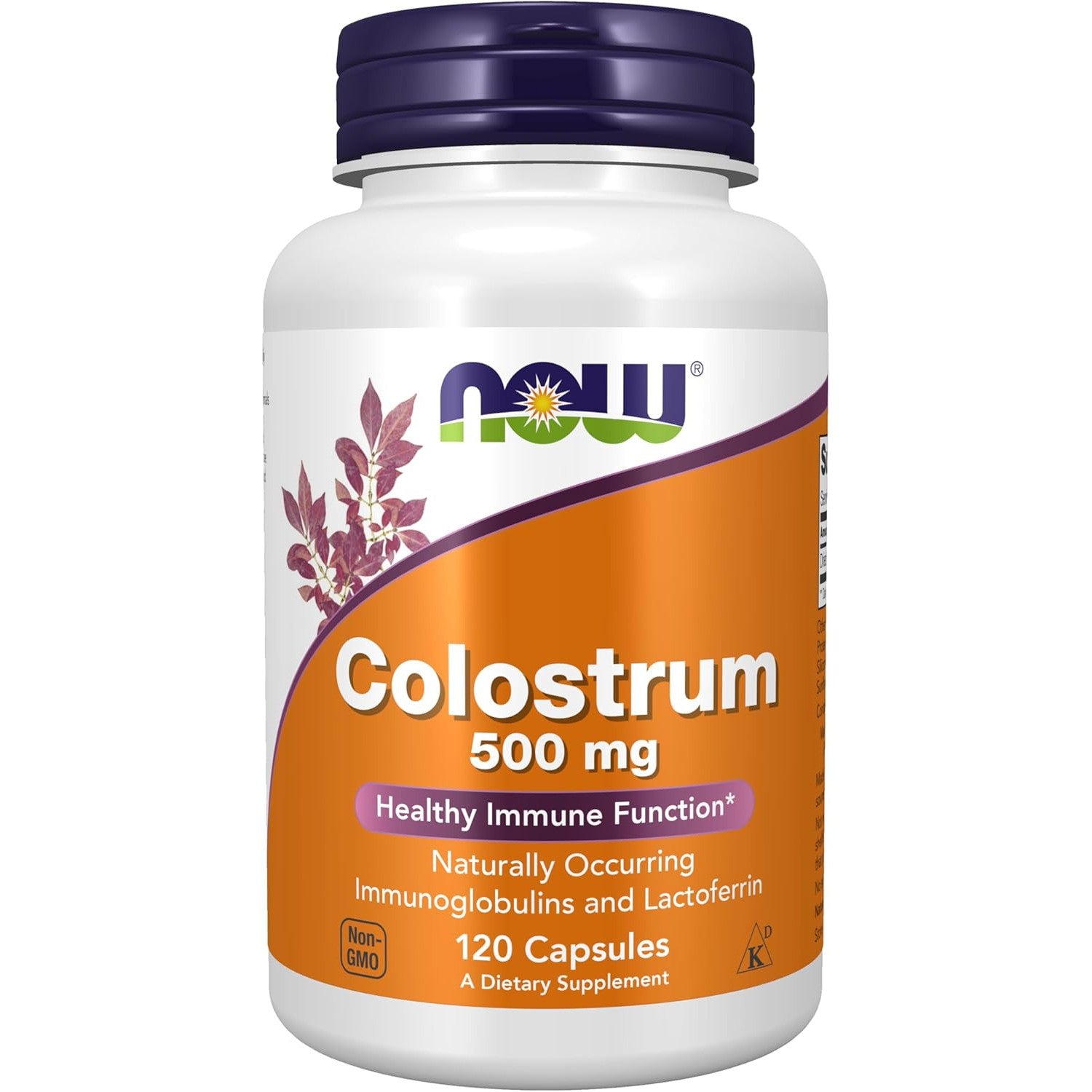 NOW Colostrum 500 mg-N101 Nutrition