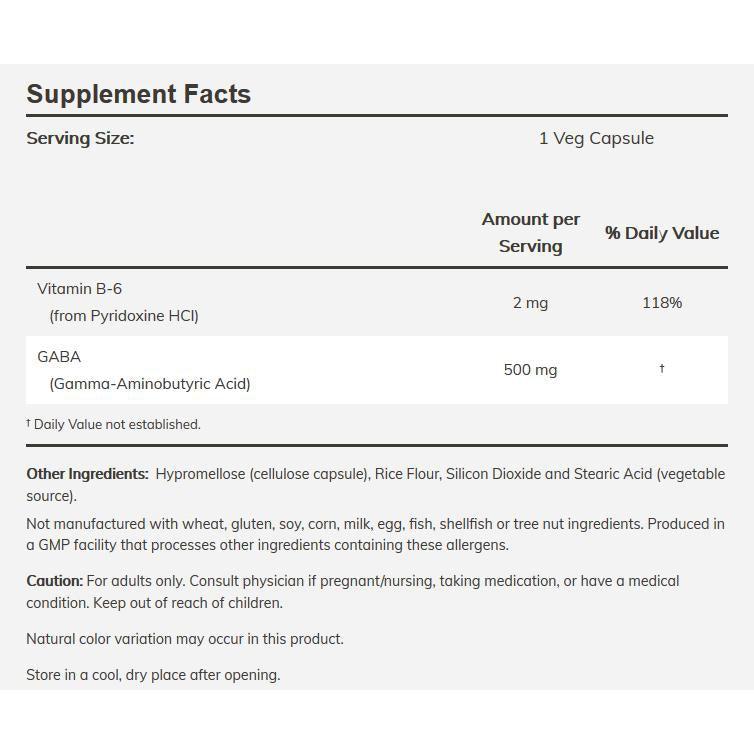 NOW GABA 500 mg-N101 Nutrition