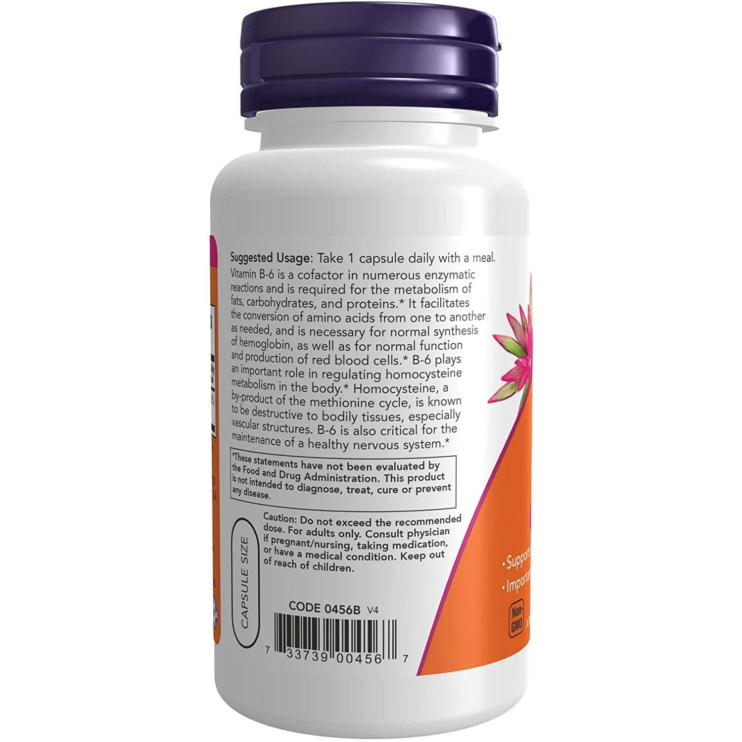 NOW Vitamin B-6 - 100 mg-N101 Nutrition