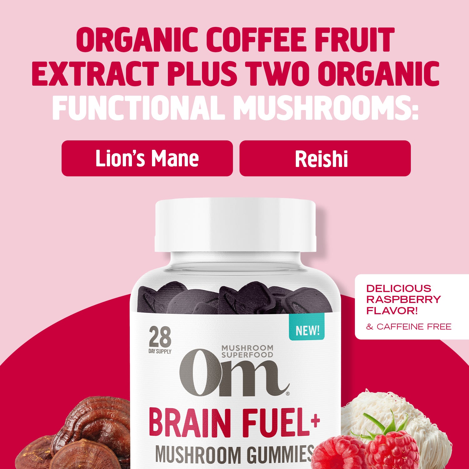 Om Brain Fuel+ Mushroom Gummies-N101 Nutrition