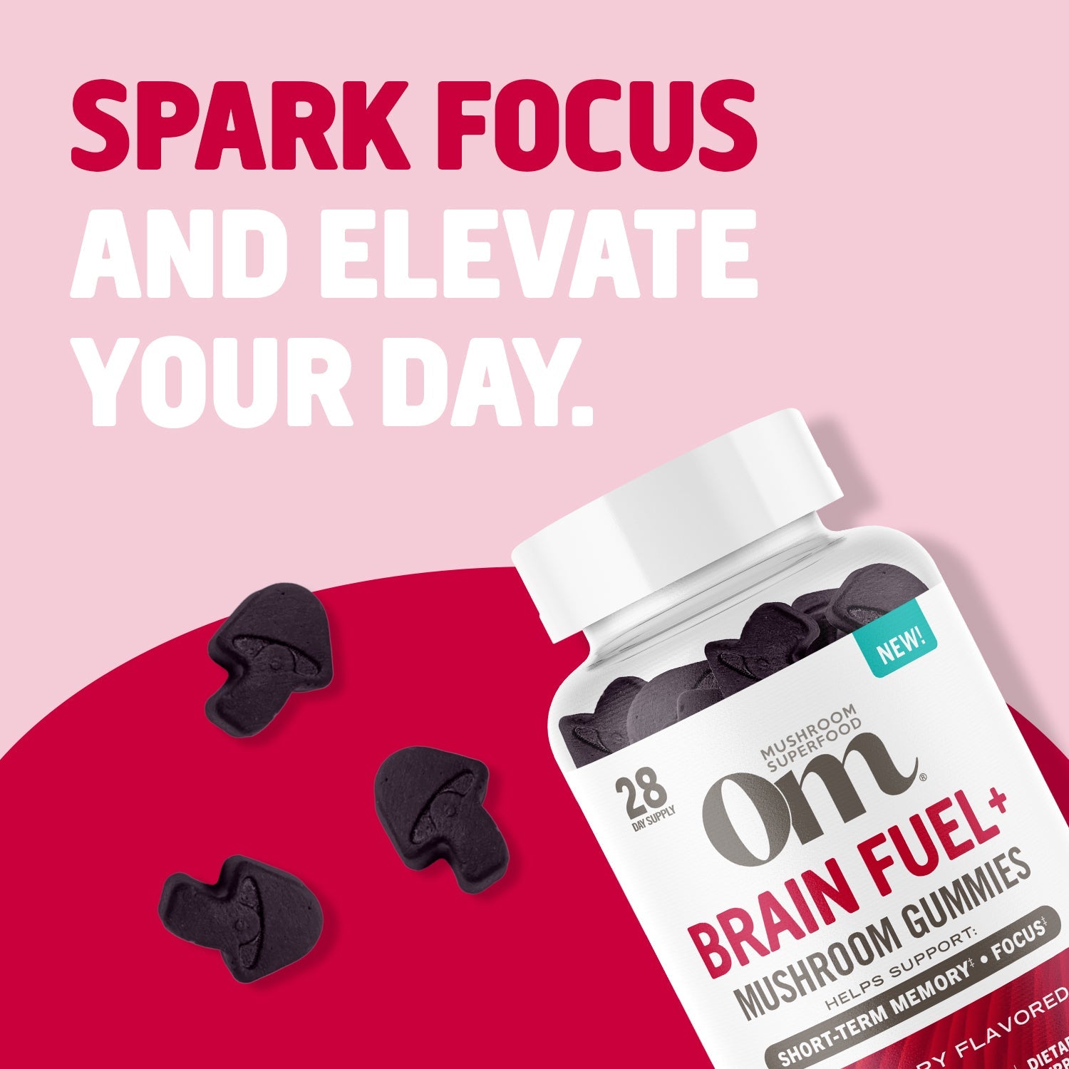 Om Brain Fuel+ Mushroom Gummies-N101 Nutrition