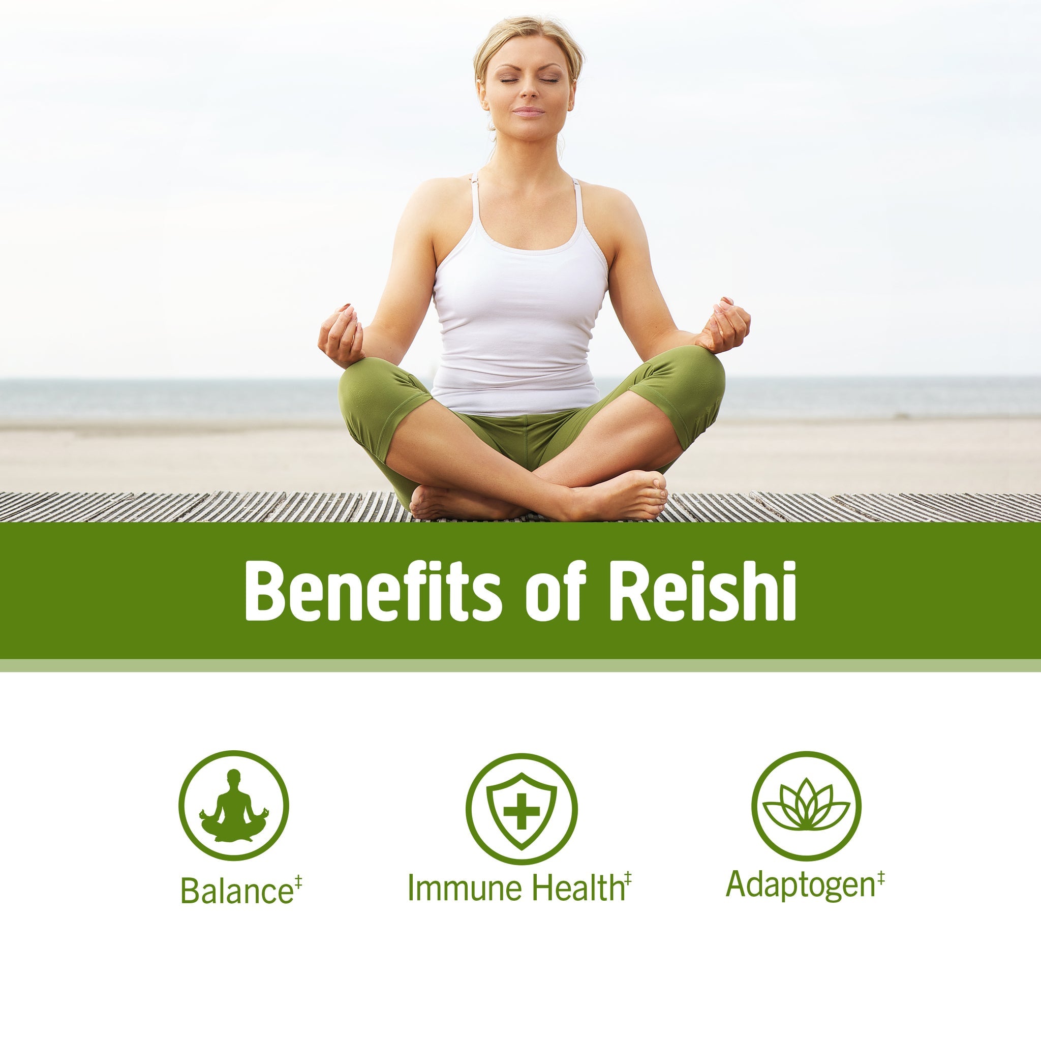 OM Reishi Mushroom Powder-N101 Nutrition