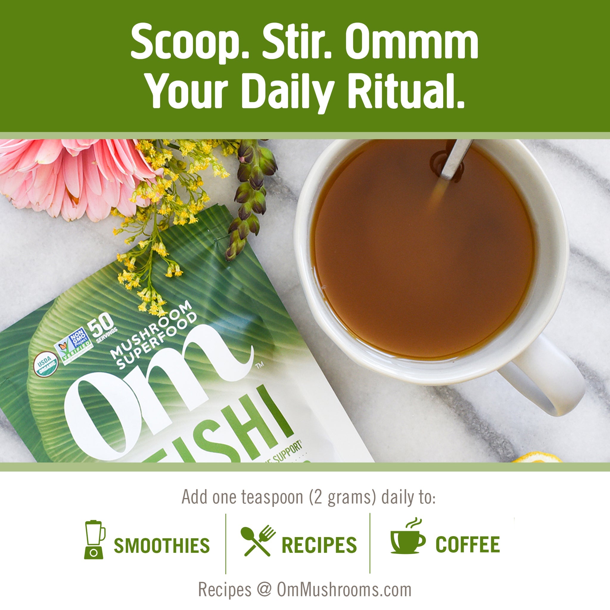 OM Reishi Mushroom Powder-N101 Nutrition