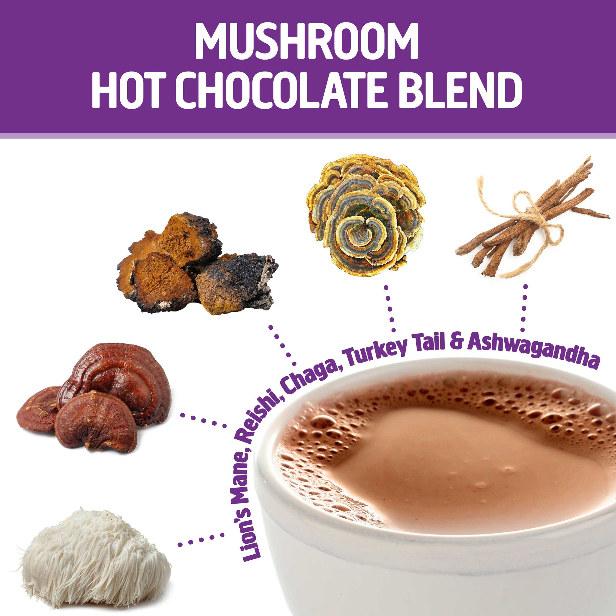 Om Superfood Mushroom Blend Hot Chocolate-N101 Nutrition