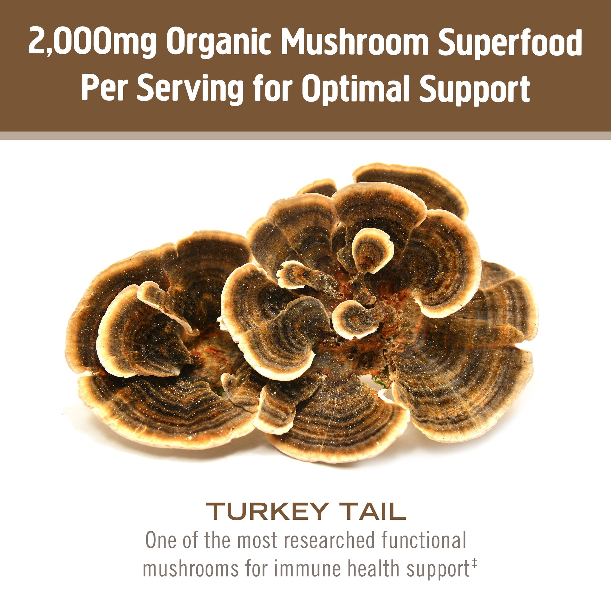 OM Turkey Tail Mushroom Powder-N101 Nutrition