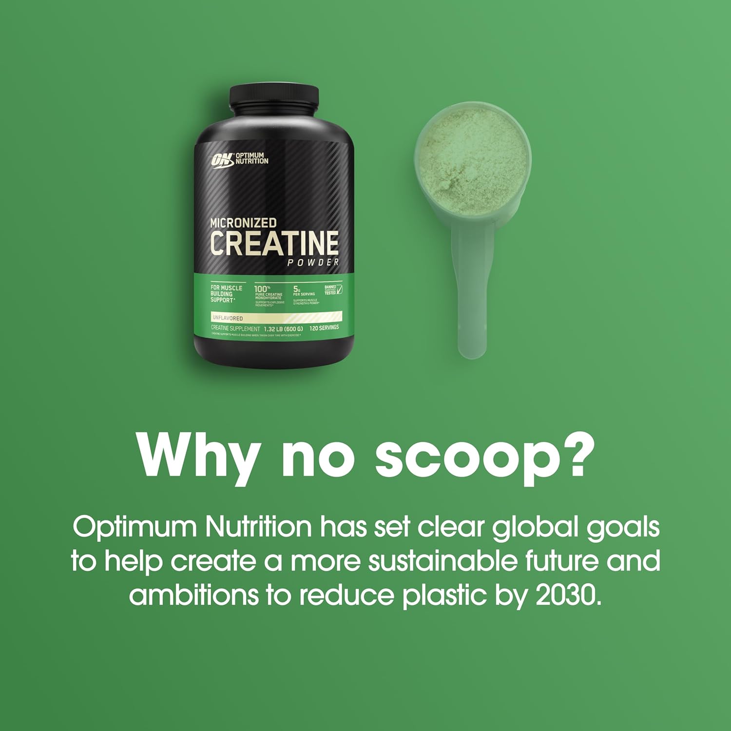 Optimum Nutrition Micronized Creatine Powder - Unflavored-N101 Nutrition