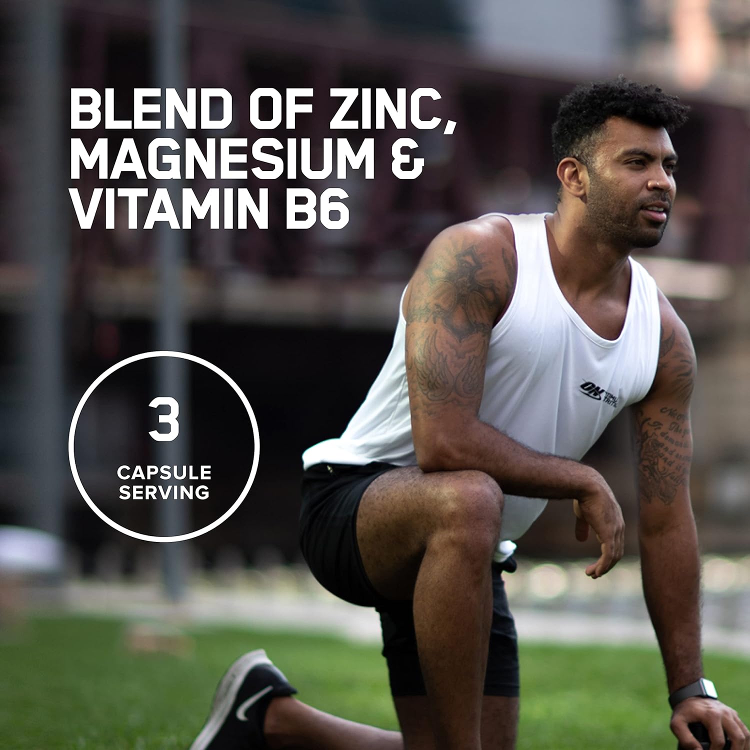 Optimum Nutrition Zinc Magnesium Aspartate-N101 Nutrition