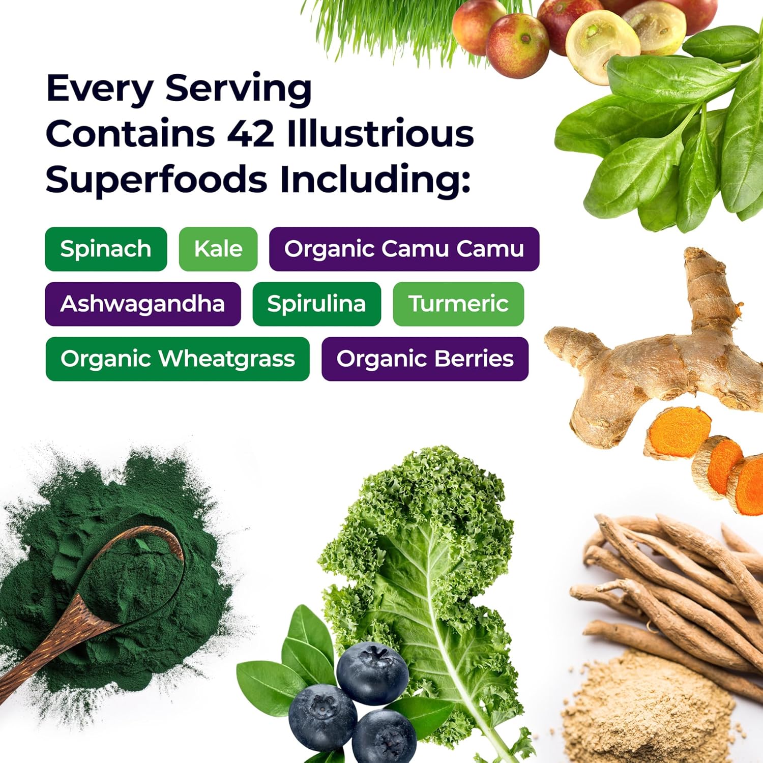 Paradise ORAC-Energy Greens-N101 Nutrition