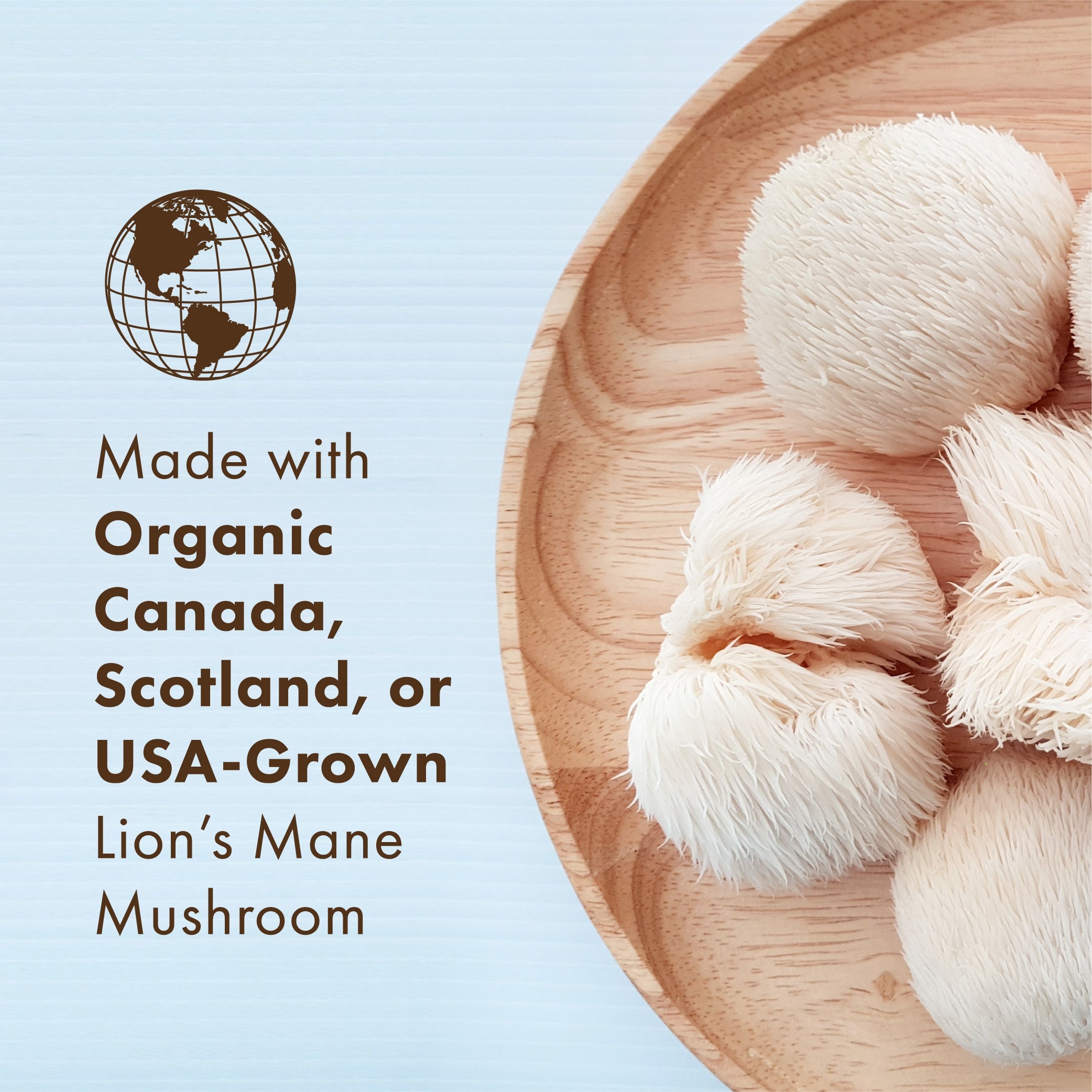 Pure Essence MyPure Lion’s Mane 4X-N101 Nutrition