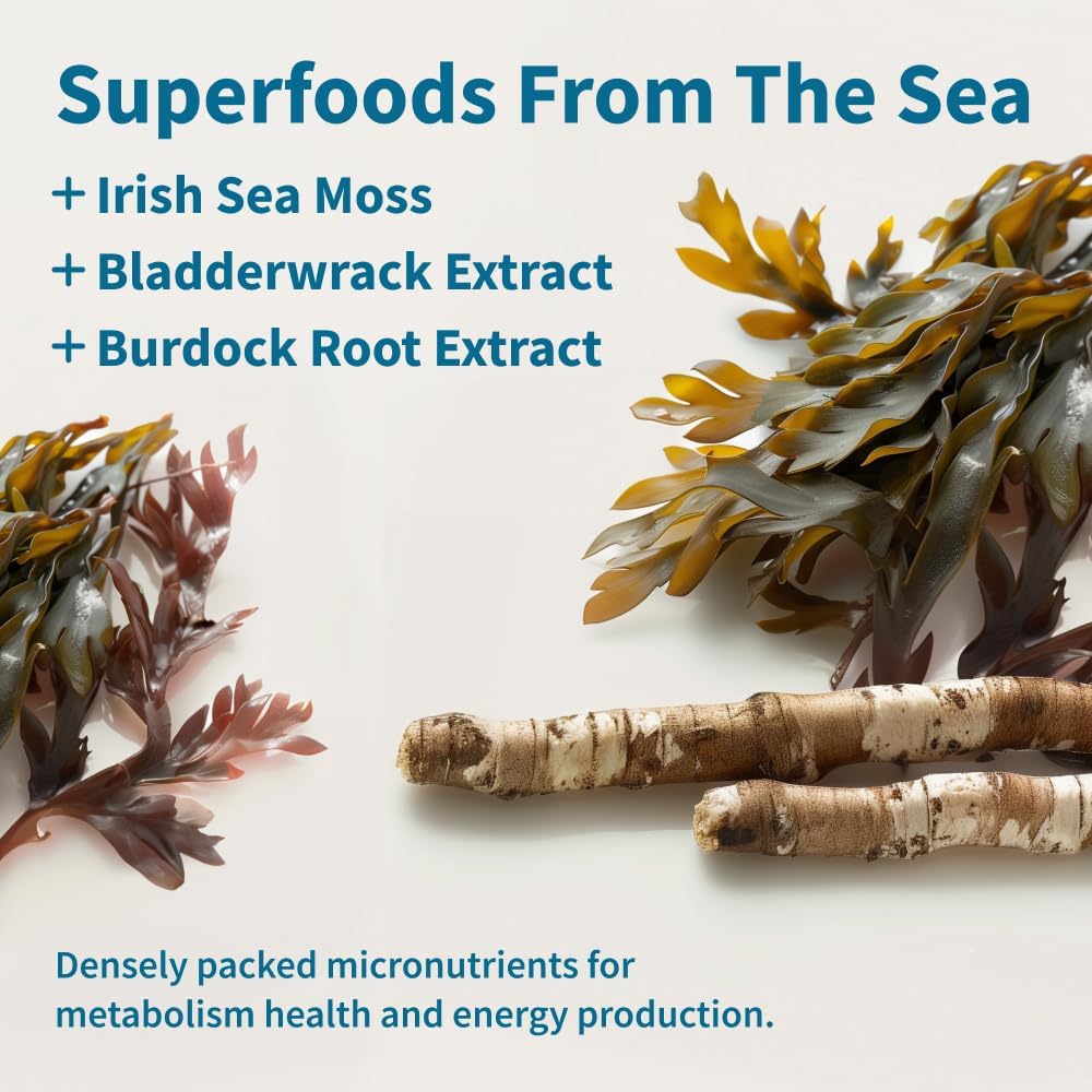 SNAP Irish Sea Moss-N101 Nutrition
