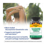 Country Life Glucosamine Chondroitin Formula-N101 Nutrition