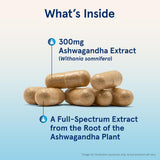 Jarrow Formulas Ashwagandha 300 mg-N101 Nutrition