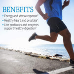 Garden of Life Vitamin Code RAW ONE for Men