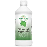 Dynamic Health Liquid Chlorophyll - Peppermint-N101 Nutrition