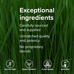 Vibrant Health Green Vibrance Capsules-N101 Nutrition