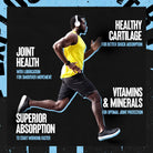 Animal Flex Comprehensive Joint Care-N101 Nutrition