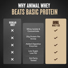 Animal Isolate Loaded Whey Protein-N101 Nutrition